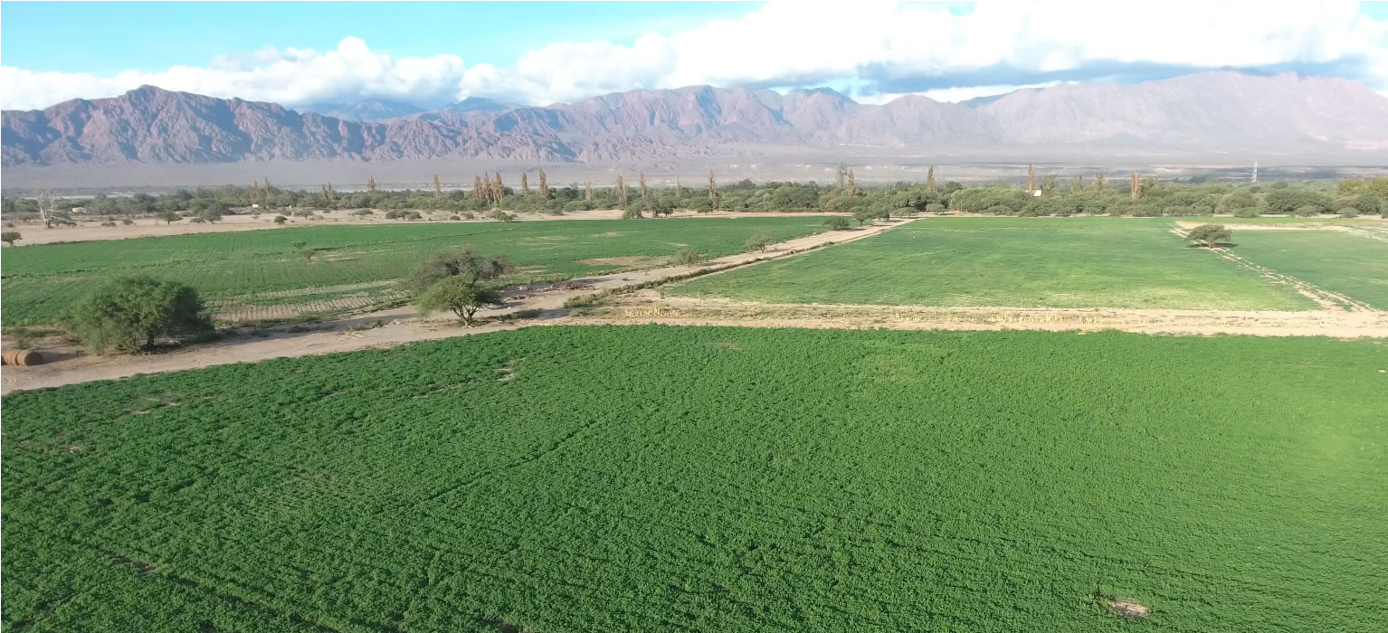 finca san carlos