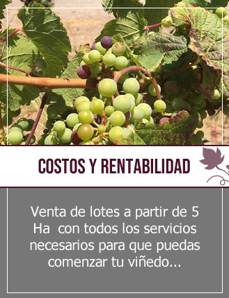 costos