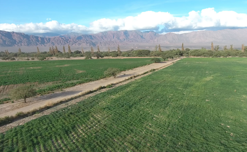 la finca