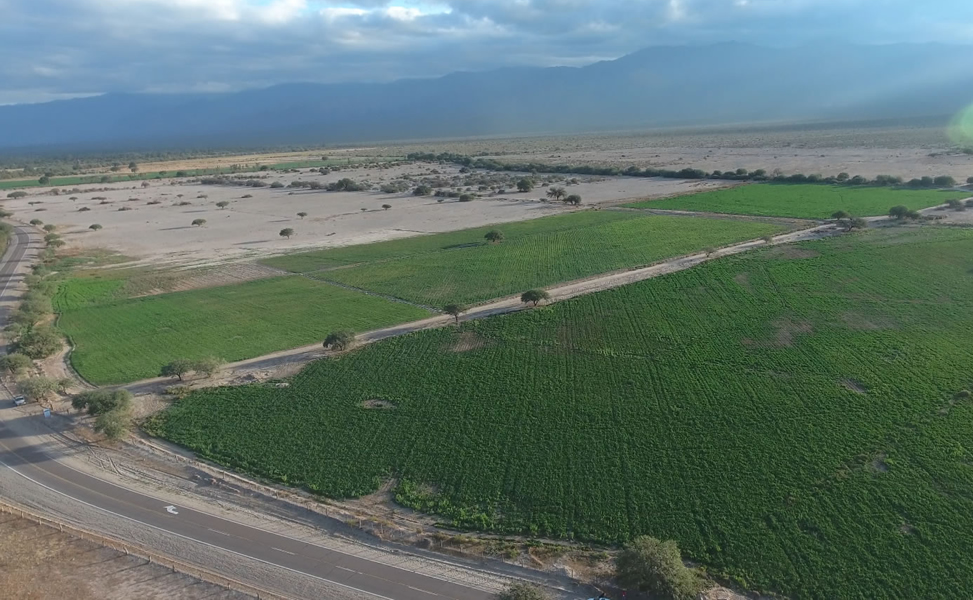 la finca