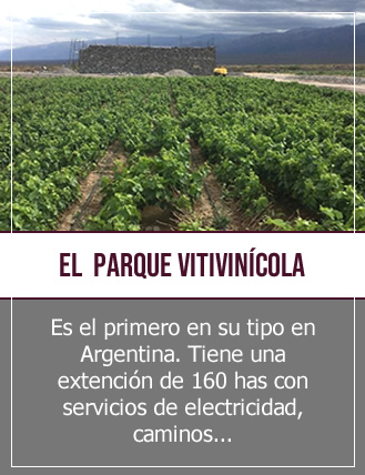 el parque