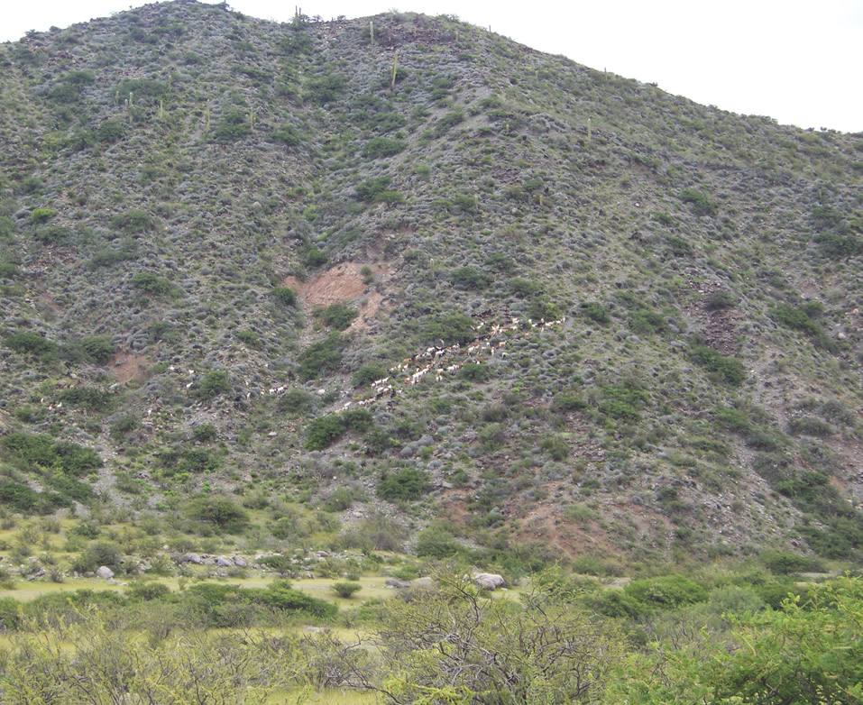 reserva