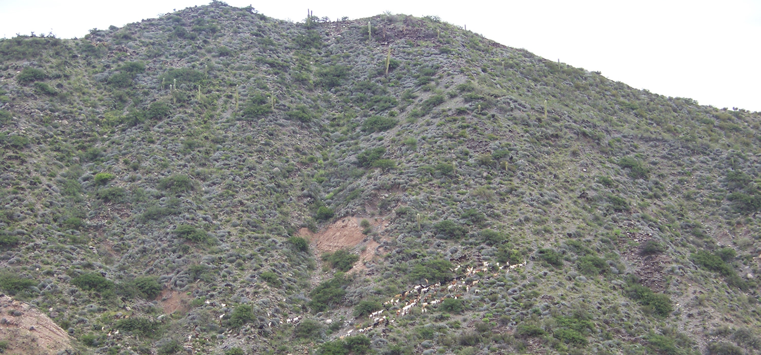 reserva de montaña